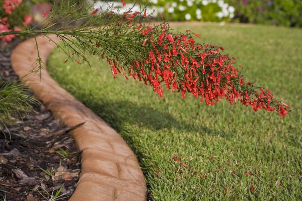 Brick Edging in Galveston