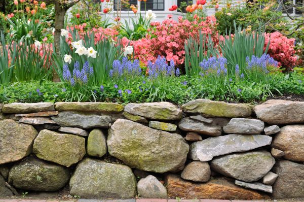 Stone Wall Hardscaping in Galveston