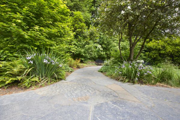 Stone Hardscape Service in Galveston