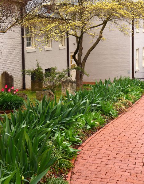 Brick Flatwork Repair in Galveston